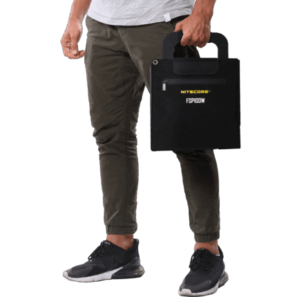 fsp100w2
